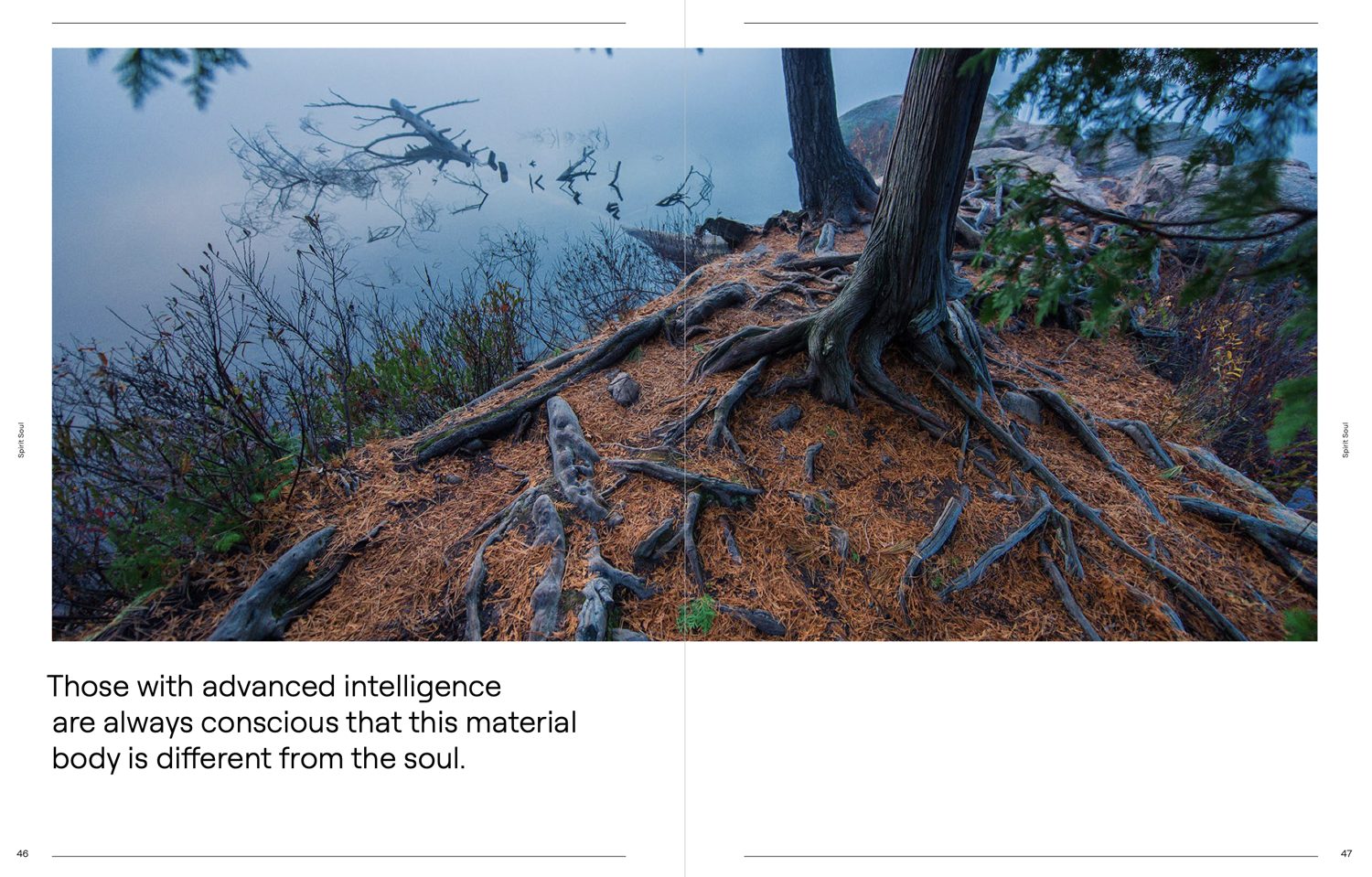 Full bleed photograph of cedar roots over a lake, with a single line of text beneath